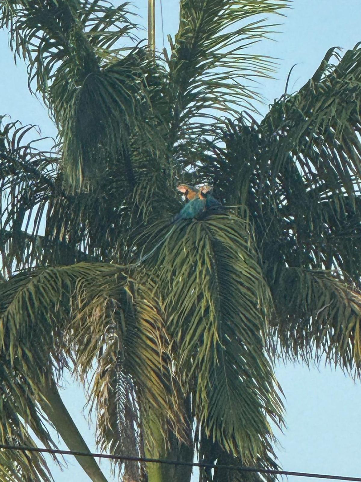 Un Moment De Detente Кайенна Экстерьер фото